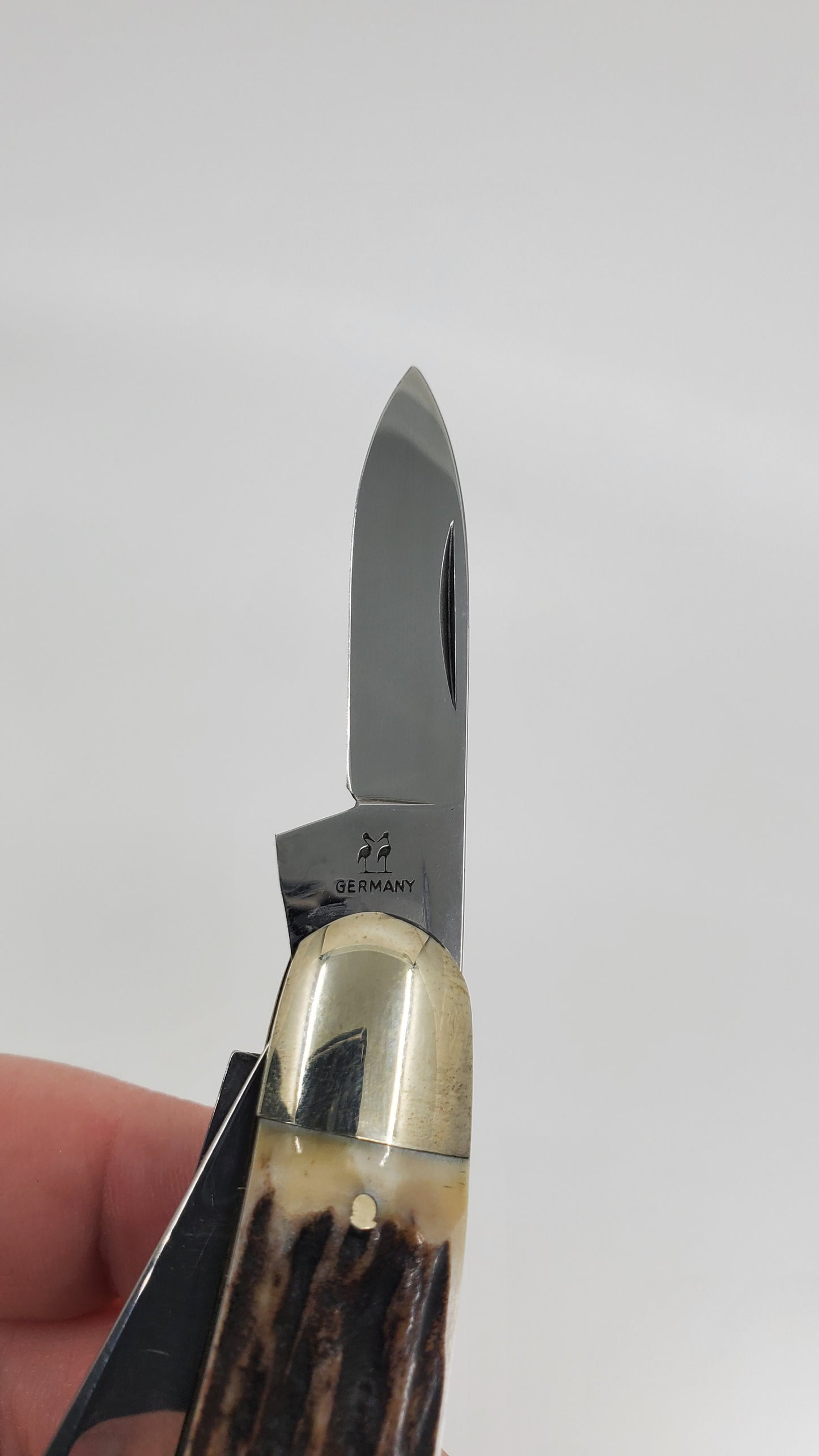 Kissing Crane Burnt Bone 3 Blade Drop Point Pocket Knife