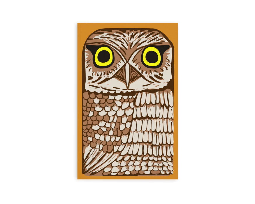 RETRO 51 DENIK OWL RESCUE -  CLASSIC NOTEBOOK with DOT GRID PAGES